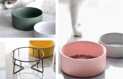 GIZMO 2x Voerbak Kat - 400 Ml - Groen - Keramische Drink- & Voerbakken Met Standaard - 13 Cm - 2 Stuks -Katten Benodigdheden Winkel 1200x773 1