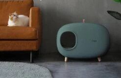 MakeSure Kattenbak Met Lade - Groen - 60 X 38 X 45 Cm - Design -Katten Benodigdheden Winkel 1200x778 1