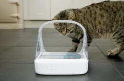 Surefeed Microchip Pet Feeder - Voerbak - 30 X 23 X 22 Cm -Katten Benodigdheden Winkel 1200x780 4