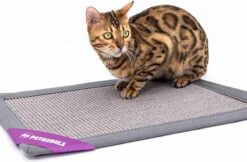 Petrebels Mastermat 60 Katten Krabmat - Grijs - 60 X 40 Cm - Zeer Sterk -Katten Benodigdheden Winkel 1200x788
