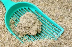 Merkloos GrainCat Composteerbare Kattenbakvulling Klontvormend 24L -Katten Benodigdheden Winkel 1200x790 1