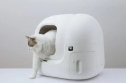 PETKIT® Pura MAX – Automatische Kattenbak – Elektrisch – Kattenbak Zelfreinigend – Bedienen Via De App 14 PETKIT® Pura MAX – Automatische Kattenbak – Elektrisch – Kattenbak Zelfreinigend – Bedienen Via De App -Katten Benodigdheden Winkel 1200x798 2