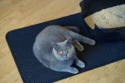 Merkloos Tastelio XXL Kattenbakmat 75x55cm - Groot Kattenbak Mat Met Innovatieve Honingraatstructuur - Dubbele Waterdichte Laag - Katten Bak Mat Met Eenvoudige Reiniging Grit Opvanger -Katten Benodigdheden Winkel 1200x799 18