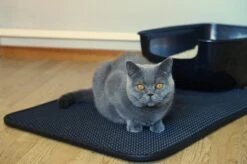 Merkloos Tastelio XXL Kattenbakmat 75x55cm - Groot Kattenbak Mat Met Innovatieve Honingraatstructuur - Dubbele Waterdichte Laag - Katten Bak Mat Met Eenvoudige Reiniging Grit Opvanger -Katten Benodigdheden Winkel 1200x799 19