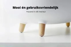 MakeSure Kattenbak Met Lade - Groen - 60 X 38 X 45 Cm - Design -Katten Benodigdheden Winkel 1200x799 2