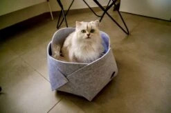 Djambo Grijs Kattenmand Vilt Met 1 Zacht Kussen - Elegant En Praktisch Kattenbed - Comfortabel En Origineel Design -Katten Benodigdheden Winkel 1200x799 9