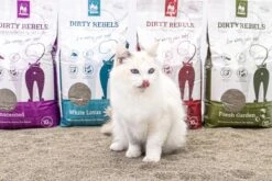 Dirty Rebels Kattenbakvulling - 10 L - Geurloos / Zonder Geur - Sterk Klontvormend - Stofvrij - 100% Natuurlijk - Premium Kwaliteit Van Petrebels 12 Dirty Rebels Kattenbakvulling - 10 L - Geurloos / Zonder Geur - Sterk Klontvormend - Stofvrij - 100% Natuurlijk - Premium Kwaliteit Van Petrebels -Katten Benodigdheden Winkel 1200x800 14
