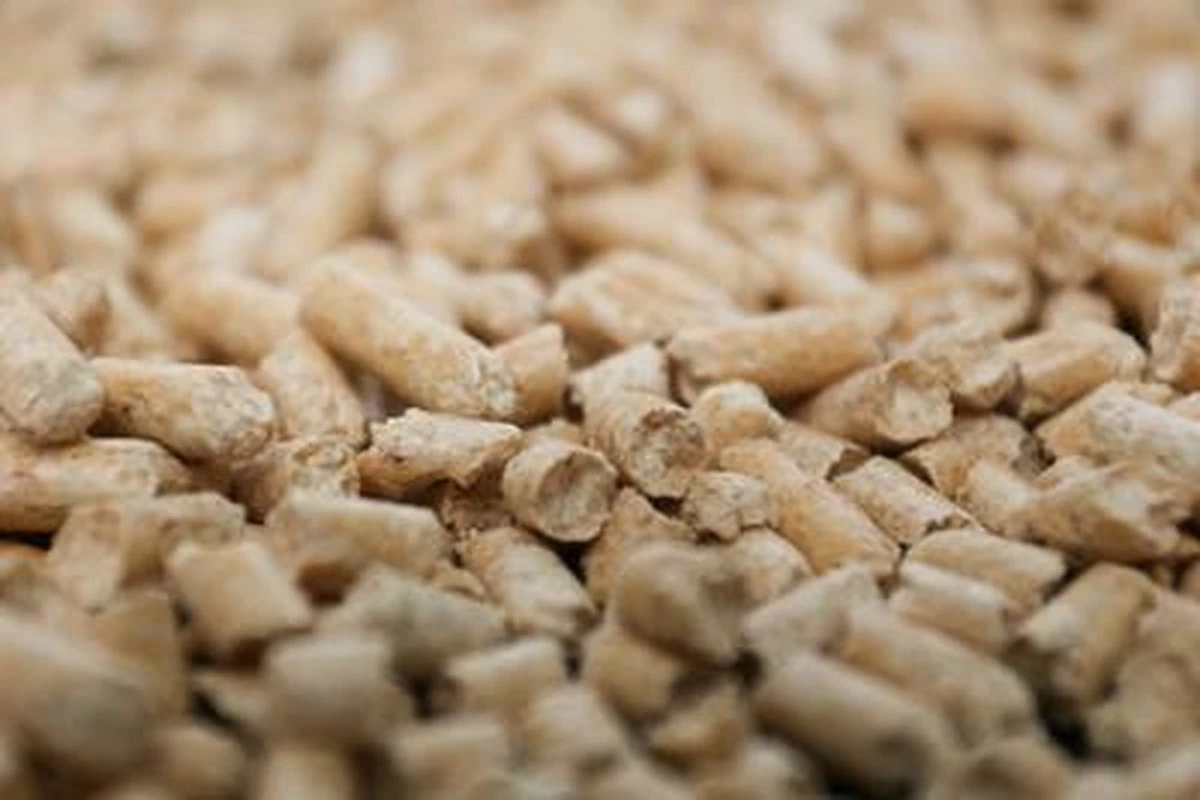 Peewee Houtkorrels Kattenbakvulling - 9 Kg (14l) 6 Peewee Houtkorrels Kattenbakvulling - 9 Kg (14l) - Afbeelding 4