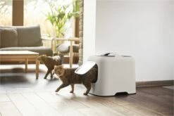 Rotho MyPet Biala Kattenbak Met Kap En Schepje / Gemaakt Van Gerecycled Plastic - Cappucino -Katten Benodigdheden Winkel 1200x800 21