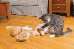 FroliCat Vossenhol - Automatische Kattenplager - Kattenspeelgoed 18 FroliCat Vossenhol - Automatische Kattenplager - Kattenspeelgoed -Katten Benodigdheden Winkel 1200x800 59