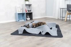 Trixie Cat Activity Adventure Carpet Grijs 99x99 Cm 35 Trixie Cat Activity Adventure Carpet Grijs 99x99 Cm -Katten Benodigdheden Winkel 1200x800 60