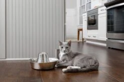 PetSafe® Seaside Stainless Steel Pet Fountain - RVS Drinkfontein Voor Katten En Kleine Honden - Water Borrelt Zacht Over De Toren - Door Het Design Van Alle Kanten Bereikbaar - 1,8 Liter - PetSafe Seaside -Katten Benodigdheden Winkel 1200x800 7