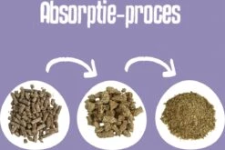 Easypets Houtkorrel Kattenbakvulling 10KG - 20L - Biologisch Afbreekbare Houtkorrels - FSC 11 Easypets Houtkorrel Kattenbakvulling 10KG - 20L - Biologisch Afbreekbare Houtkorrels - FSC -Katten Benodigdheden Winkel 1200x802