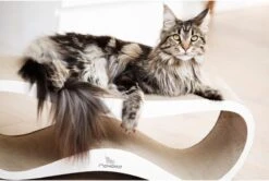 MyKotty LUI - Krabpaal - Wit - 75 X 25 Cm -Katten Benodigdheden Winkel 1200x806 3