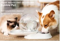 AdomniaGoods - Automatische Katten Voerbak - Antislip Honden Voerbak - Unique Transparant/grijs Design - Altijd Hygiënisch Schoon Water! -Katten Benodigdheden Winkel 1200x810