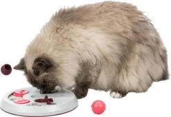 Trixie Cat Activity Flip Board Bes / Roze / Lichtgrijs 23x23 Cm 14 Trixie Cat Activity Flip Board Bes / Roze / Lichtgrijs 23x23 Cm -Katten Benodigdheden Winkel 1200x823 2