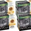 Pro Plan Cat NutriSavour Sterilised Multipack - Kattenvoer - Kip 40x85 G -Katten Benodigdheden Winkel 1200x831