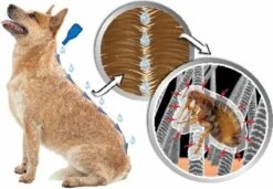 Beaphar DIMETHIcare Line On Kat - Vlooienbestrijding - 6 Pipetten 14 Beaphar DIMETHIcare Line On Kat - Vlooienbestrijding - 6 Pipetten -Katten Benodigdheden Winkel 1200x831 2