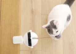 Merkloos Kattenhengel - Elektrisch Kattenspeelgoed - Kattenspeeltjes - Automatische Hengel - Kitten Speelgoed - Interactief Kattenspeelgoed - Bal - Katten - Poesjes - Kitten - Kat - Kattenbal - Kattenspeeltjes Intelligentie 10 Merkloos Kattenhengel - Elektrisch Kattenspeelgoed - Kattenspeeltjes - Automatische Hengel - Kitten Speelgoed - Interactief Kattenspeelgoed - Bal - Katten - Poesjes - Kitten - Kat - Kattenbal - Kattenspeeltjes Intelligentie -Katten Benodigdheden Winkel 1200x845 1