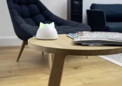 Sureflap Connect HUB 10 Sureflap Connect HUB -Katten Benodigdheden Winkel 1200x848 2