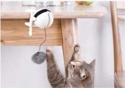 Merkloos Kattenhengel - Elektrisch Kattenspeelgoed - Kattenspeeltjes - Automatische Hengel - Kitten Speelgoed - Interactief Kattenspeelgoed - Bal - Katten - Poesjes - Kitten - Kat - Kattenbal - Kattenspeeltjes Intelligentie 9 Merkloos Kattenhengel - Elektrisch Kattenspeelgoed - Kattenspeeltjes - Automatische Hengel - Kitten Speelgoed - Interactief Kattenspeelgoed - Bal - Katten - Poesjes - Kitten - Kat - Kattenbal - Kattenspeeltjes Intelligentie -Katten Benodigdheden Winkel 1200x852 5