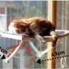 Hobipets - Kattenmand Raam - 5 Zuignappen - Hangmat Kat Raam 2 Hobipets - Kattenmand Raam - 5 Zuignappen - Hangmat Kat Raam -Katten Benodigdheden Winkel 1200x856 2