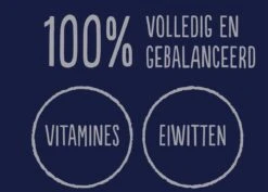 Felix Elke Dag Feest Mix Selectie In Gelei Junior - Katten Droogvoer - 48 X 85g -Katten Benodigdheden Winkel 1200x858