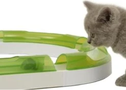 Catit Senses 2.0 Super Circuit - Kattenspeelgoed - Wit/Groen 9 Catit Senses 2.0 Super Circuit - Kattenspeelgoed - Wit/Groen -Katten Benodigdheden Winkel 1200x858 5