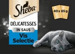 Sheba Delicatesse Katten Natvoer - Vis - 40 X 85 Gr -Katten Benodigdheden Winkel 1200x863
