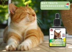 Natuurlijke Vlooiendruppels Voor Katten - Vanaf 4 Kg - 100% Natuurlijk - Vlooien - Zonder Giftige Pesticiden - 30 Ml - Speciale Formule Voor Katten - Vachtdruppels - Made In Holland -Katten Benodigdheden Winkel 1200x872 2