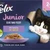 Felix Elke Dag Feest Mix Selectie In Gelei Junior - Katten Droogvoer - 48 X 85g -Katten Benodigdheden Winkel 1200x883 2