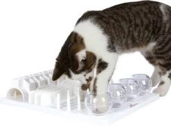 Trixie Cat Activity Fun Bord - 40X30 CM -Katten Benodigdheden Winkel 1200x883 6
