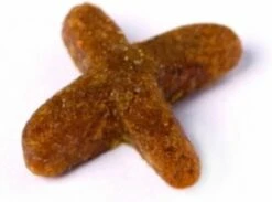 Prins VitalCare Indoor 5 Kg - Kat -Katten Benodigdheden Winkel 1200x891