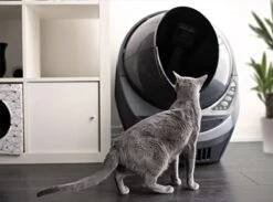 Litter-Robot 3 Connect Automatische Zelfreinigende Kattenbak -Katten Benodigdheden Winkel 1200x891 3