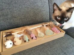 Make Life Beautiful® - Kattenspeeltjes Set - 7-delig - Kattenspeelgoed - Kattenhengel - Speelmuisjes - Kattenspeelgoed Set -Katten Benodigdheden Winkel 1200x900 14