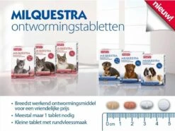 Beaphar Milquestra Ontworming Tabletten Kat 2 - 12 Kg 4 Tabletten -Katten Benodigdheden Winkel 1200x904 5