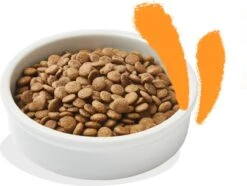 Edgard & Cooper Kattenvoer Adult Kip 4 Kg -Katten Benodigdheden Winkel 1200x905 1