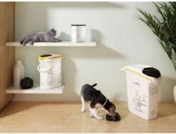 Curver Voedselcontainer Kat - 10 L 18 Curver Voedselcontainer Kat - 10 L -Katten Benodigdheden Winkel 1200x917 4