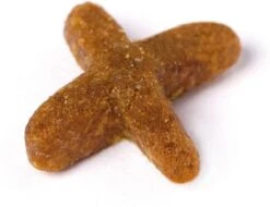 Prins VitalCare Indoor 5 Kg - Kat -Katten Benodigdheden Winkel 1200x922