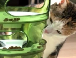 Cat-It Senses 2.0 Food Tree - Wit/Groen - Voerbak - Ø 35 Cm 15 Cat-It Senses 2.0 Food Tree - Wit/Groen - Voerbak - Ø 35 Cm -Katten Benodigdheden Winkel 1200x923