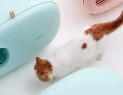 MakeSure Kattenbak Met Lade - Groen - 60 X 38 X 45 Cm - Design -Katten Benodigdheden Winkel 1200x927 1