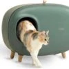 MakeSure Kattenbak Met Lade - Groen - 60 X 38 X 45 Cm - Design -Katten Benodigdheden Winkel 1200x929