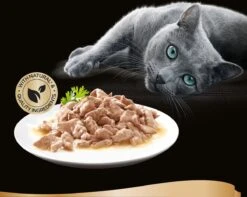 Sheba Mini Filets In Saus Kattenvoer Maaltijdzakjes Gevogelte 40 X 85 G -Katten Benodigdheden Winkel 1200x959 1