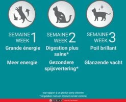 Purina One Sensitive - Kalkoen/Rijst - Kattenvoer - 800 G 19 Purina One Sensitive - Kalkoen/Rijst - Kattenvoer - 800 G -Katten Benodigdheden Winkel 1200x970 1