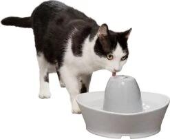 PetSafe® Streamside Ceramic Pet Fountain - Keramische Drinkfontein Voor Katten En Kleine Honden - Water Borrelt Zacht Over De Toren - Door Het Design Van Alle Kanten Bereikbaar - 1,8 Liter - PetSafe Streamside 17 PetSafe® Streamside Ceramic Pet Fountain - Keramische Drinkfontein Voor Katten En Kleine Honden - Water Borrelt Zacht Over De Toren - Door Het Design Van Alle Kanten Bereikbaar - 1,8 Liter - PetSafe Streamside -Katten Benodigdheden Winkel 1200x983