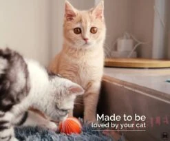 Cheerble Mini Ball 2.0 - Slimme Interactieve Zelf Rollende Bal Voor Katten - 3 Speelmodi - Kattenspeeltjes - USB Oplaadbaar - Rood 18 Cheerble Mini Ball 2.0 - Slimme Interactieve Zelf Rollende Bal Voor Katten - 3 Speelmodi - Kattenspeeltjes - USB Oplaadbaar - Rood -Katten Benodigdheden Winkel 1200x994 1