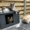 RHRQuality Kattenhuis Voor Binnen En Buiten Kattenhok Villa De Luxe Grijs -Katten Benodigdheden Winkel 1200x996 1