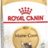 Royal Canin Maine Coon Adult - Kattenvoer - 10 Kg 1 Royal Canin Maine Coon Adult - Kattenvoer - 10 Kg -Katten Benodigdheden Winkel 582x1200 1