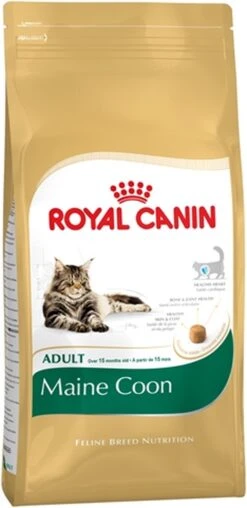 Royal Canin Maine Coon Adult - Kattenvoer - 10 Kg -Katten Benodigdheden Winkel 583x1200