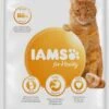 Iams Cat Senior - Kip - 3 Kg -Katten Benodigdheden Winkel 596x1200 2